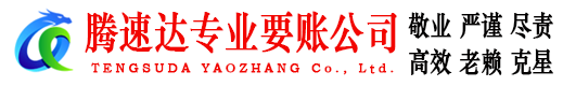 汉阳腾速达清债公司